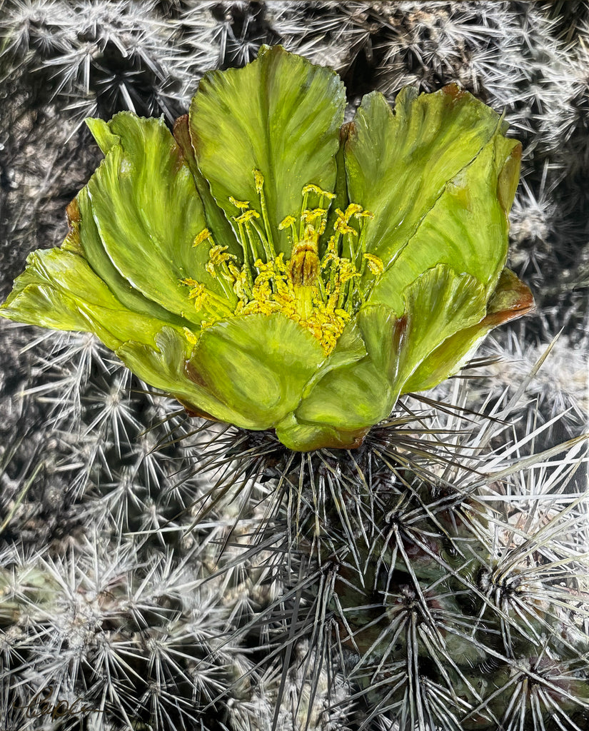 Green Cholla Cactus Bloom Original Painting