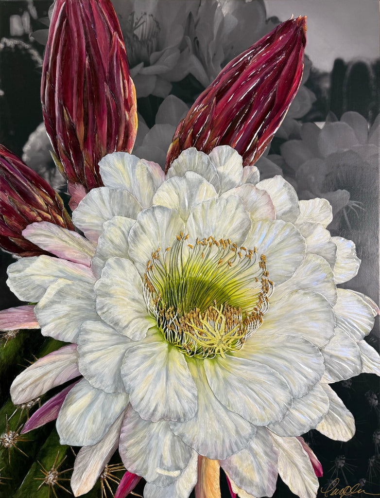 Cardon Bloom Original Painting