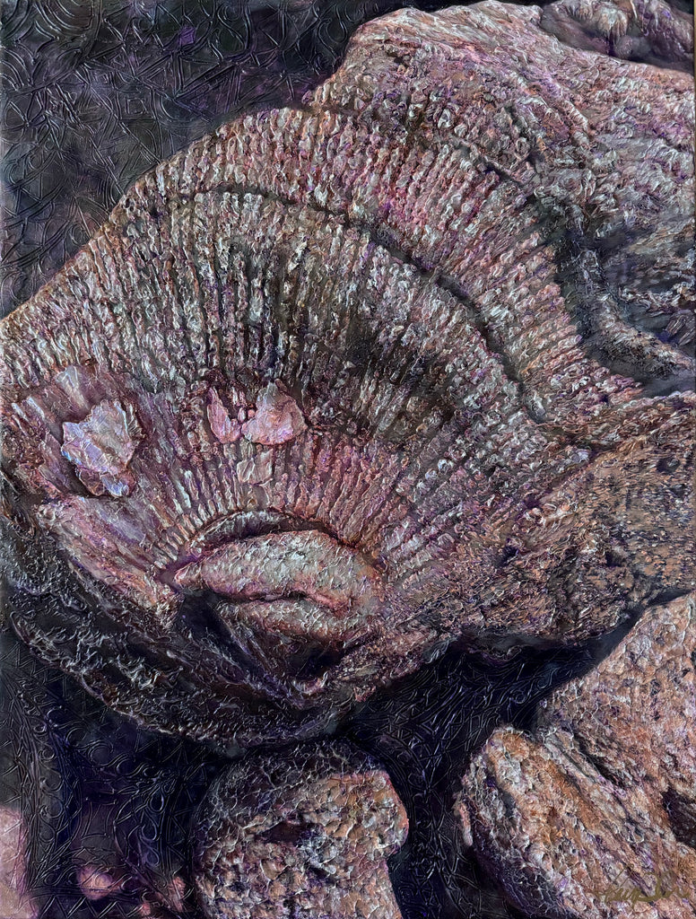 Mollusk Fossil Original Painting