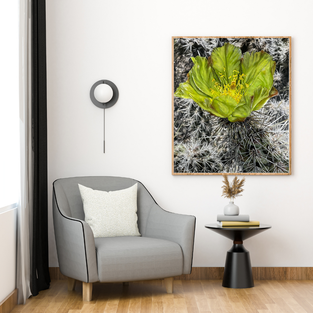 Green Cholla Cactus Bloom Original Painting